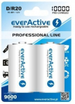 2x everActive R20/D 10000mAh baterija