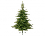 Dirbtinė Kalėdinė Eglė Grandis 681451 180cm
