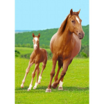 Horses Vaiki&scaron;kas pledas 100*140 cm