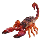 Rudas skorpionas 38cm - Beppe