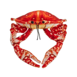 Oranžinis krabas 26cm - Beppe