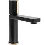 Praustuvo mai&scaron;ytuvas REA Icon low, Black/gold