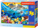 Delfinai *100*