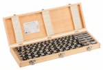 Bosch 6 vnt. medienos grąžtų rinkinys 10-20x450mm su dėklu