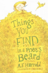 Things You Find in a Poet's Beard
