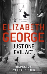 Just One Evil Act: An Inspector Lynley Novel: 18