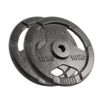 Ketaus svorių rinkinys Rebel Active 2x10kg, 31mm skylė, su rankenomis