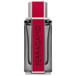 Kvapusis vanduo Ferragamo Red Leather EDP vyrams, 100 ml