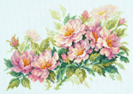 Siuvinėjimo rinkinys Magic Needle Dog-Rose Flowers 210-268