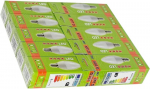 LED lemputės G.LUX GR-LED-C37-6W 3000K, 10 vnt pakuotė