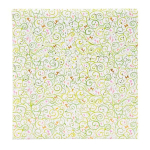 Foto albumas 30x31cm 60l EVER GROWING 27236 GOLDBUCH