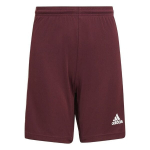 Vaiki&scaron;ki &scaron;ortai Adidas Squadra 21 GN8081, bordo spalvos
