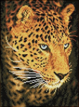 Deimantinė mozaika Leopard portrait 40X30 cm