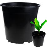 Vazonas, 24x24x24 cm