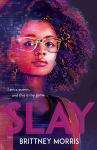 SLAY : the Black Panther-inspired novel about virtual reality