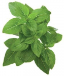 Click & Grow SGR21X3