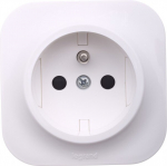 Legrand Forix 2p+z Ip20 Montuojamas Ant Pavir&scaron;iaus Lizdas