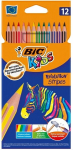 Spalvoti pie&scaron;tukai BIC Evolution, 12 spalv
