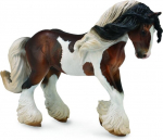 Žirgas Tinker Stallion veislės Collecta, XL