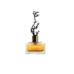 Kvapusis vanduo Aurora Scents Deciduous Summer EDP moterims, 100 ml