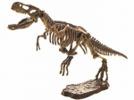 Archeologinių kasinėjimų rinkinys 3D Tiranozauro skeletas Jin hong xin toys, 4d