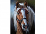 Deimantinė mozaika Dostoy Horse,30x40cm