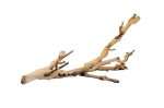 Dekoracija terariumui Exo Terra Mi&scaron;ko &scaron;aka, maža, 30 cm