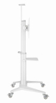 TV laikiklis Monitora stiprinājums Gembird Aluminum TV Floor Stand  with Caster Wheels White
