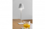 Led stalinė lempa Fizzi, 200lm, 4000k, 4000mah, pritemdoma