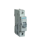 Automatinis jungiklis C6A MC106 1P Hager