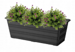 Balkono dėžė grafitinė 60 cm plastikinė, 60 cm