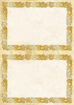 Diplominis popierius 170g 25 lapai A4/A5 Celtic