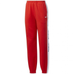 Sportinės kelnės moterims Reebok Te Linear Logo Fl PW FT0905, raudonos