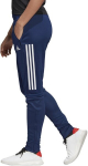 Adidas Kelnės Moterims Con 20 Tr Pant W Blue FN0022/L