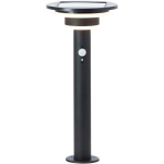 I&scaron;orės lemputė - BRILLIANT - GARVINA - LED ir saulės - Judesio jutiklis - Nerūdijantis plienas ir plastikas - 4 W - Juoda