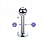 Titano labret auskaras su sidabrine karūna 1,2/8 mm