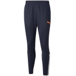 Vyri&scaron;kos kelnės Puma teamLIGA Training Pants tamsiai mėlynos 657242 47, 2XL