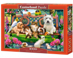 Dėlionė Puzzle Castorland Pets in the Park, 1000 detalių