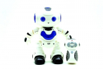 Robotas su R/C valdymo pultu