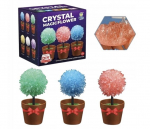 Kūrybinis rinkinys kristalų auginimas Crystal Go