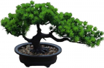 Dirbtinė pu&scaron;is bonsai