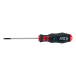 Atsuktuvas Tx25 su skyle 100mm - W&uuml;rth Zebra
