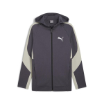 Laisvalaikio džemperis vyrams PUMA EVOSTRIPE Full-Zip Hoodie DK Galactic - 68170069, pilkas