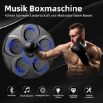 Hothands bokso treniruoklis su muzika, didelio dydžio, montuojamas ant sienos, profesionalus led bluetooth su 9 greičiais ir režimais, muzikos dėžutės treniravimo įrenginys vaikams ir suaugusiems namams, patalpoms ir sporto salei