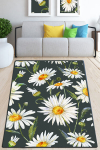 Asir kilimas Margarita Djt 80x200 cm
