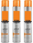 Labai stiprios fiksacijos plaukų lakas Evin Extra Profesionall 750 ml