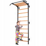 Endorfit gimnastikos reabilitacinės kopėčios treniruotėms, 232x85 cm
