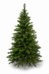 Dirbtinė kalėdinė eglutė premium spruce 100% pe, 280 cm