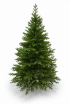Dirbtinė kalėdinė eglutė premium spruce 100% pe, 200 cm