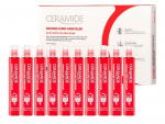 Atkuriamasis plaukų fileris su ceramidais FarmStay Ceramide Damage Clinic Hair Filler, 10 vnt &times; 13 ml